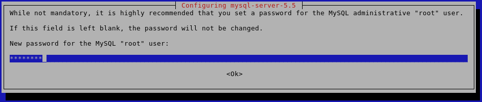 MySQL root password